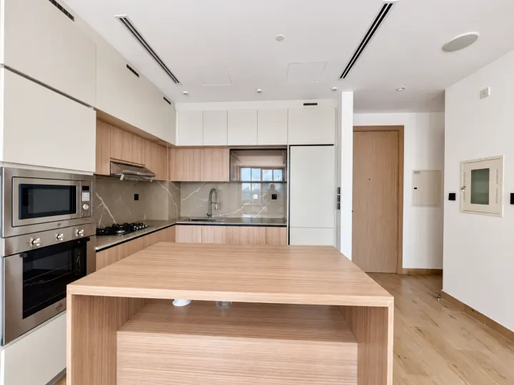 1-Bedroom Apartment · The Vybe